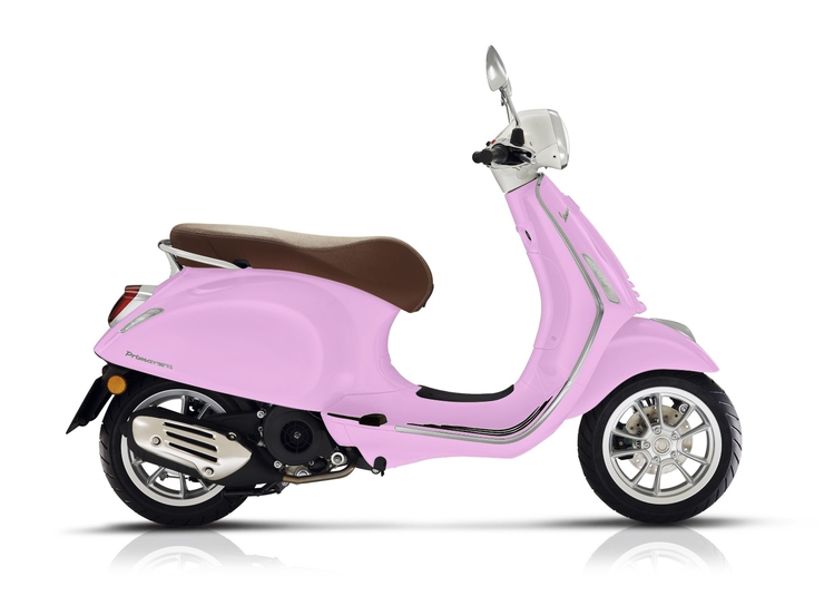 Vespa vespica