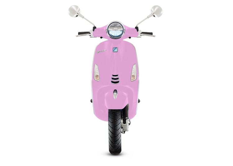 Vespa vespica