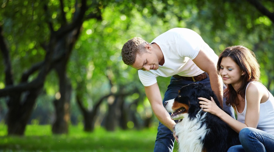 Ravno izvedela, da si noseča? Kupi si psa! (foto: shutterstock)