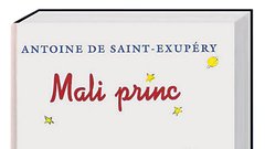 Mali princ, Antoine de Saint-Exupéry. Knjiga francoskega pisatelja in pilota je bila prevedena v 180 svetovnih jezikov in je bila najprej mišljena za otroke. Zgodbo o večnem otroku v nas je bila prvič izdana leta 1943, s slikami pa jo je okrasil kar pisatelj. Kdor hoče videti, mora gledati s srcem. Bistvo je očem nevidno. V slovenščino je knjigo prevedel pesnik Ivan Minatti. PRODANO: približno 200 milijonov.