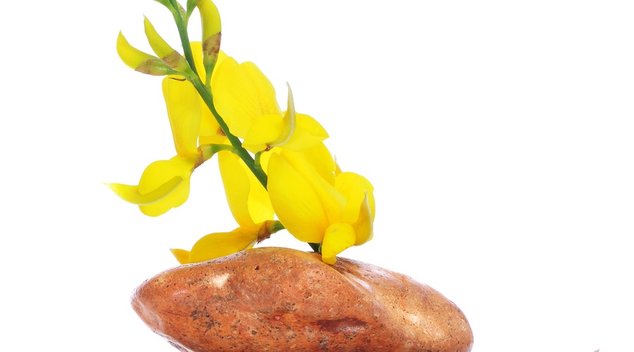 Reiki - je res tako preprosto? (foto: shutterstock)