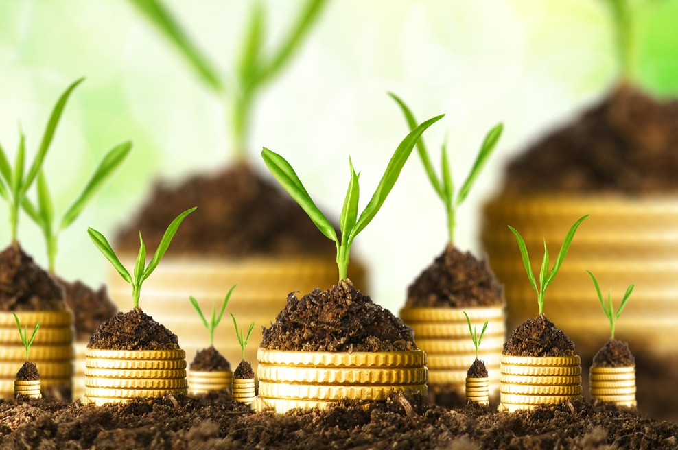 Projekt za mlade: Denar nima idej! (foto: shutterstock)