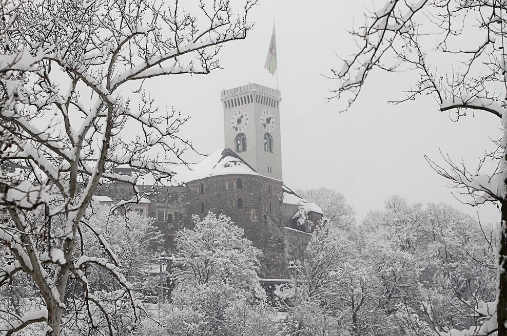 Foto: Goran Antley (foto: Goran Antley)