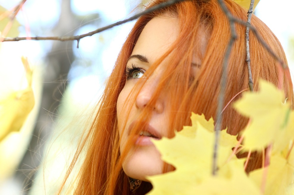 Ohranimo gozdičke - gibanje za amnestijo poraščenosti :P (foto: shutterstock)