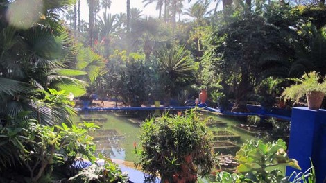 Fotografije čudovitega vrta Majorelle v Maroku
