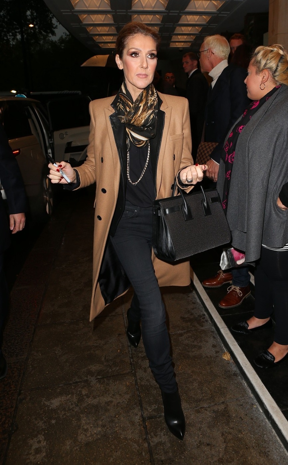 Strogo urejena Celine Dion (foto: profimedia)