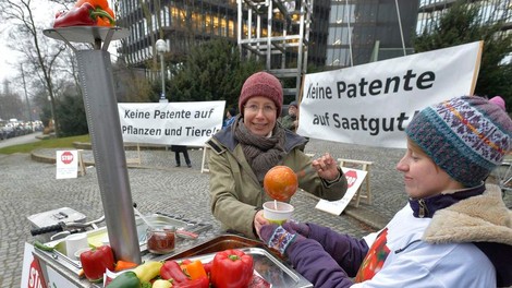 Juha iz pekoče paprike za evropske patentne uradnike!