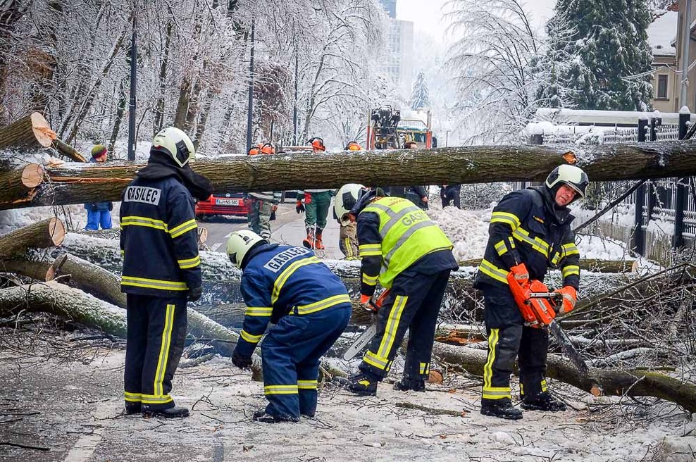 Nagrado DejanYe leta so prejeli vsi gasilci in prostovoljci, ki so pomagali ob žledu. (foto: Aleš Pavletič)