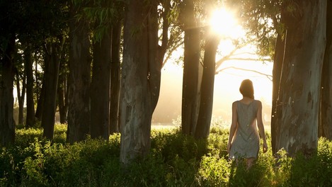 Zdravilni kodeks - sistem globinske razstresitve!