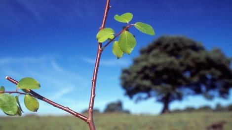Spomladansko čiščenje Slovenije – pridruži se!
