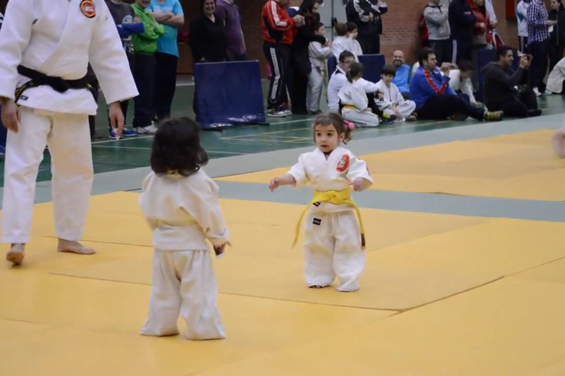 Mini judo! (foto: YouTube)