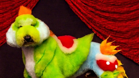 Fotogalerija s tekmovanja v 'body paintingu' za kužke!