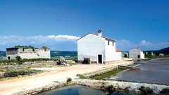 Turistične novice - smučarija, soline in istrski osli