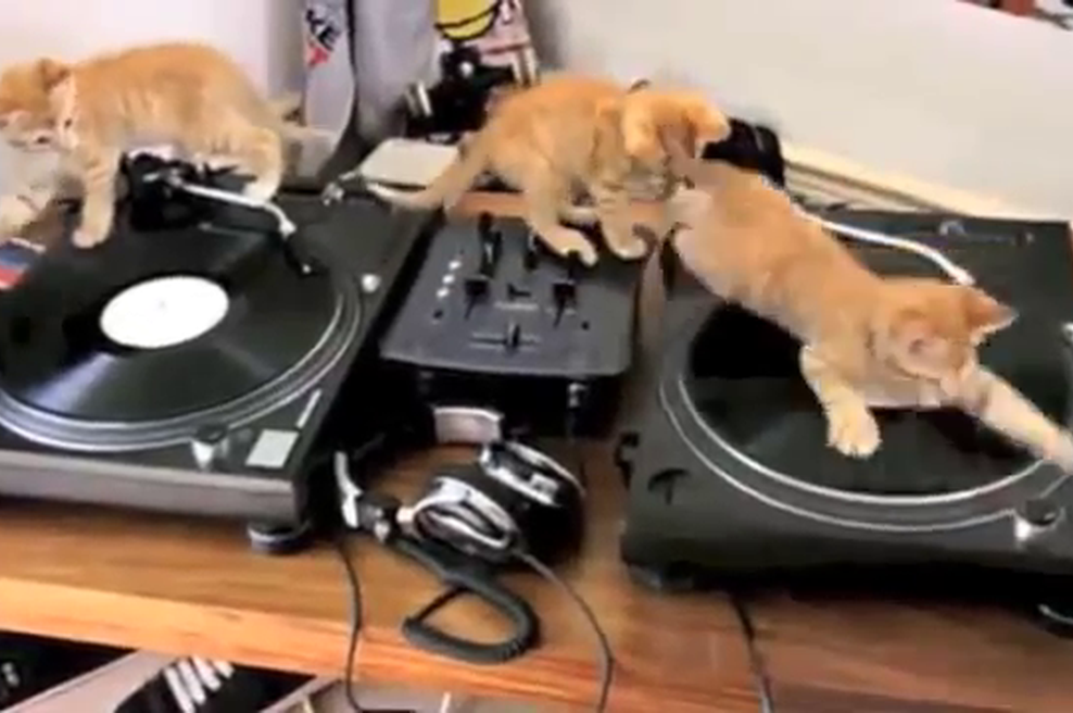 Album izide konec leta. (foto: YouTube)