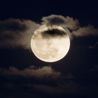 To se v resnici dogaja v vaši psihi, ko je prisotna polna luna: zakaj verjamemo, da vpliva na nas?