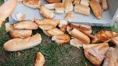 Volk sit, koza cela - Za Slovenijo brez zavržene hrane