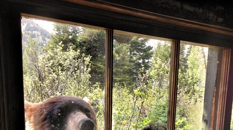 Tok, tok! Je kdo doma?