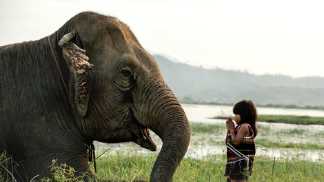 Prisrčno, a nevarno druženje deklice in slona