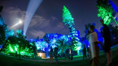 Svetlobna gverila: Razstava, ki osupne