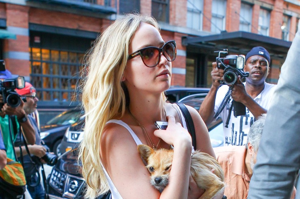 Jennifer Lawrence se je znašla sredi ljubezenske zmešnjave (foto: Profimedia)