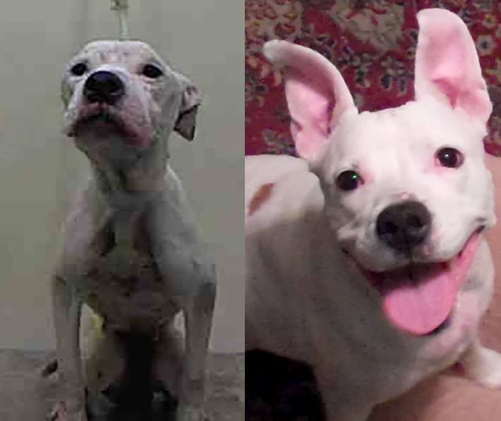 Moja punca prej in potem.