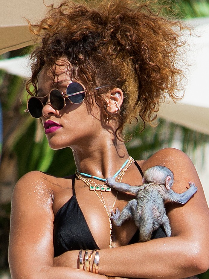 Srčkano: Rihanna po steklenički hranila majceno opico