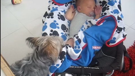 VIDEO: Kar je ta psička naredila dojenčku, te bo povsem presenetilo!