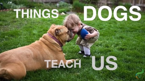 VIDEO: Čudovite stvari, ki nas jih naučijo psi