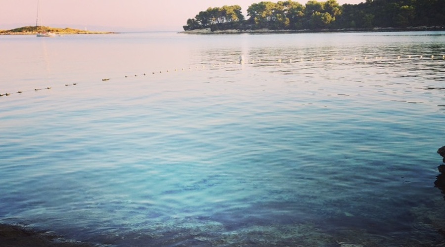 Še 40 dni? Panika? PANIKA! (foto: Nuša Ferkulj)