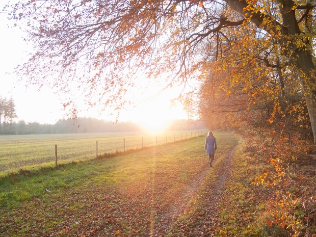 4 Jesenski sprehod Tudi jeseni ne smeš pozabiti na redne sprehode po svežem zraku. Še vedno je tudi dovolj sonca, …