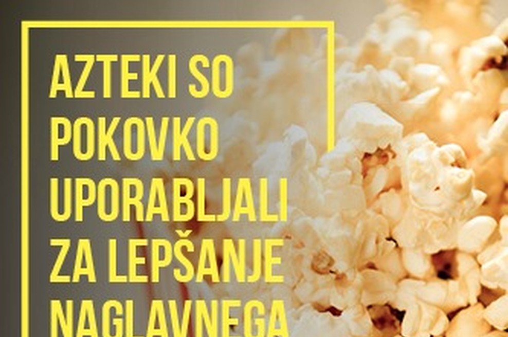 Še nekaj neuporabnih dejstev, ki jih morate vedeti (foto: Simobil Orto)