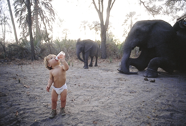 Še ko se je hranila po steklenički, je z velikim zanimanjem opazovala slone, ki so tako kmalu postali njeni veliki …