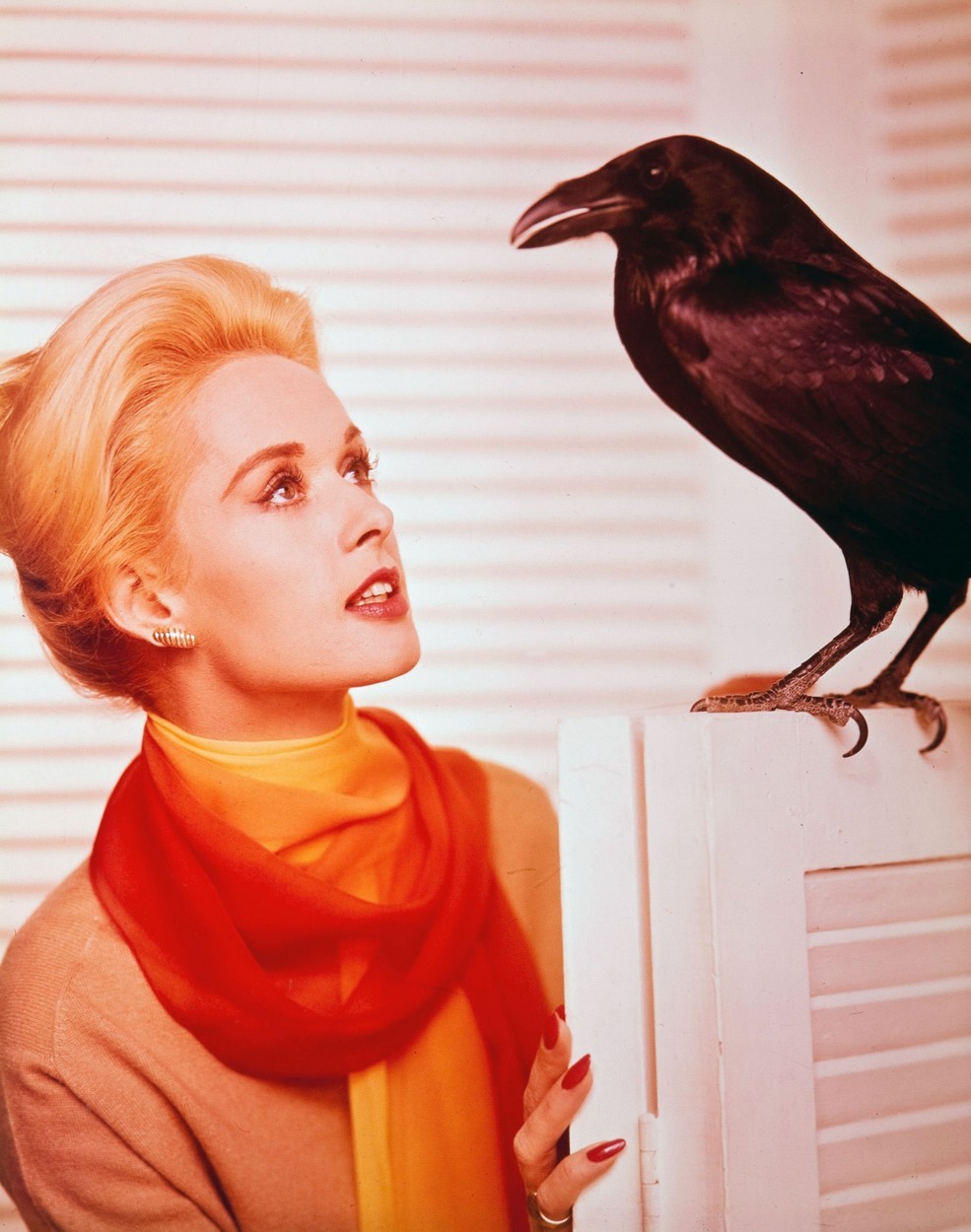 kultnem filmu Ptiči, ki je nastal pod taktirko Alfreda Hitchcocka. Od nekdaj je veljala za ...