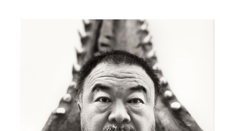 Na Dunaju zloglasni Ai Weiwei z živalskimi glavami