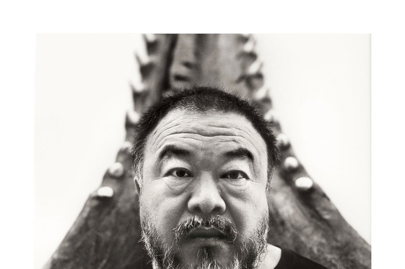 Na Dunaju zloglasni Ai Weiwei z živalskimi glavami (foto: Ai Weiwei (c) Belvedere, Dunaj)