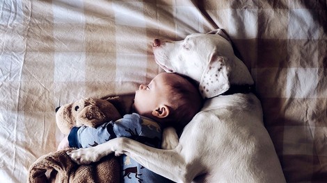 FOTO: Dojenček in pes ne moreta drug brez drugega