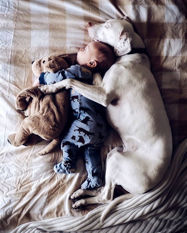 Njuna naklonjenost se še najbolj vidi med spanjem, kjer Archie objema svojo ogračko, psička Nora pa kar Archieja. Tako je …
