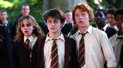 FOTO: Poglej, kako so danes videti Harry Potter, Hermione in Ron