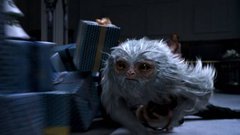 Gremo v kino: J.K. Rowling  - Magične živali!