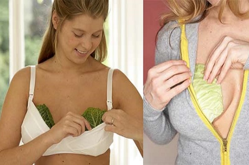 VIDEO: To je pravi razlog, zakaj si ženske na prsi dajejo liste zelja! (foto: PrtSc Youtube)