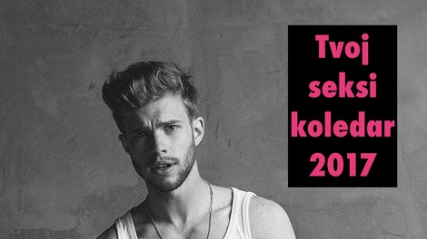 Mister Slovenije: "Srečno novo leto!" (seksi koledar za leto 2017)