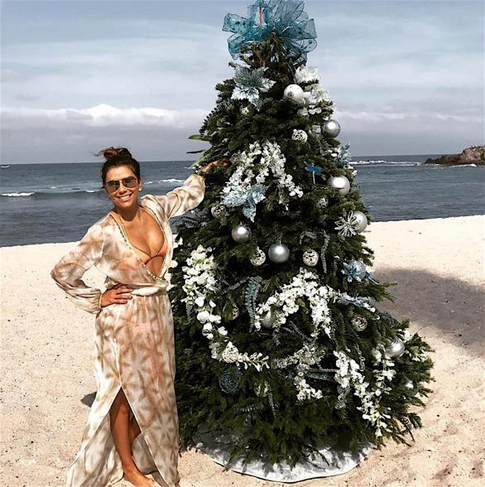 igralka Eva Longoria! In če si mislila, da je to čudovito drevesce, potem poglej, kakšno krasotico so sredi dnevne sobe …