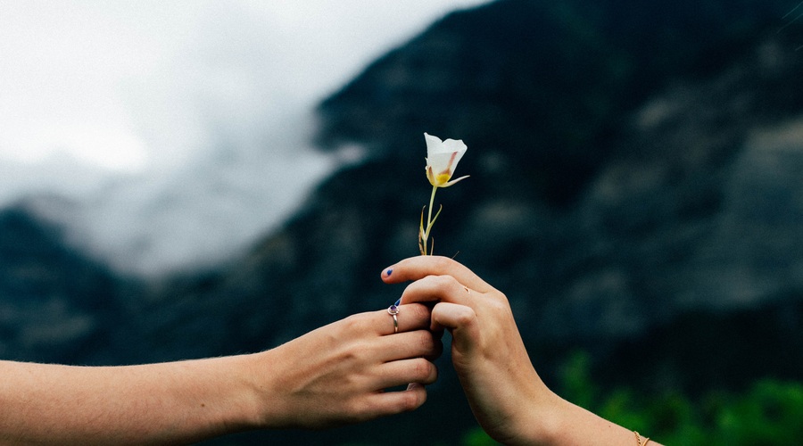 12 stvari, s katerimi lahko drugim polepšaš TA dan (foto: Unsplash.com/Evan Kirby)