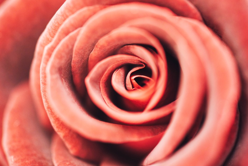 Presenetljive stvari, ki jih prva menstruacija razkriva o tvojem zdravju! (foto: Unsplash.com / chuttersnap)