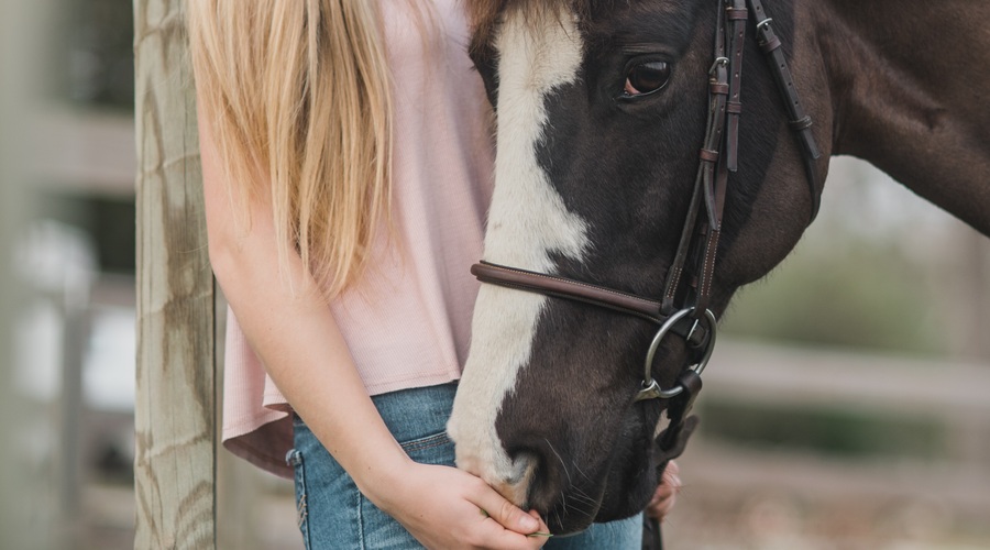 Kresna noč (24. 6.): Kaj početi na najbolj čarobno noč v letu? (foto: Unsplash.com/Kirsten Lachance)