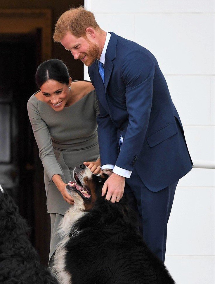 Poglej, kako sta Meghan Markle in princ Harry poimenovala svojega novega družinskega člana! (foto: Profimedia)