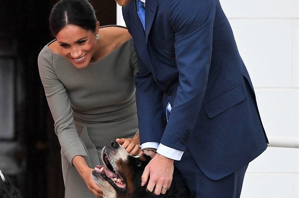 Poglej, kako sta Meghan Markle in princ Harry poimenovala svojega novega družinskega člana! (foto: Profimedia)