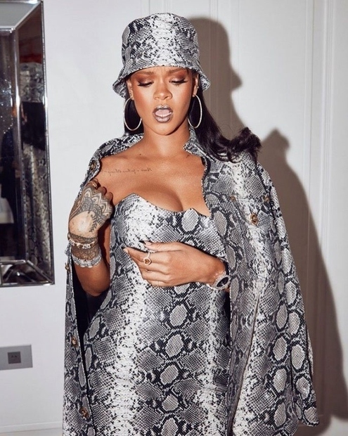 Pevka Rihanna rada posega po živalskih vzorcih in pri kačjem ni nič drugače. Oblekla pa ga je tudi TALE priljubljena …