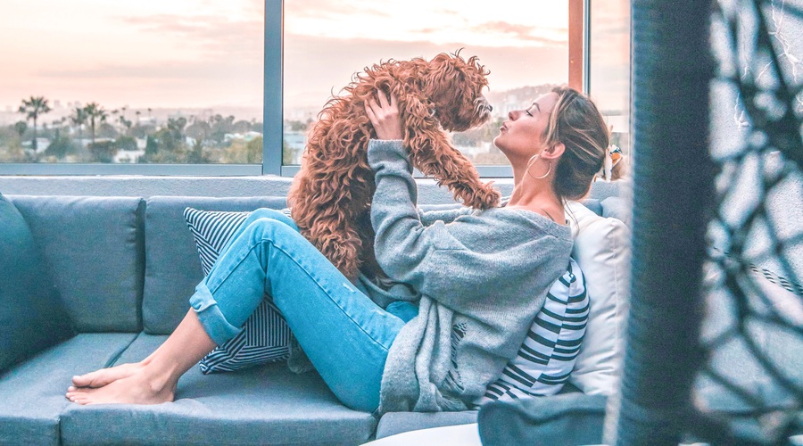 S svojo staro maskaro lahko ZELOOOOO pomagaš zapuščenim živalim (preveri, KAKO!) (foto: Unsplash)