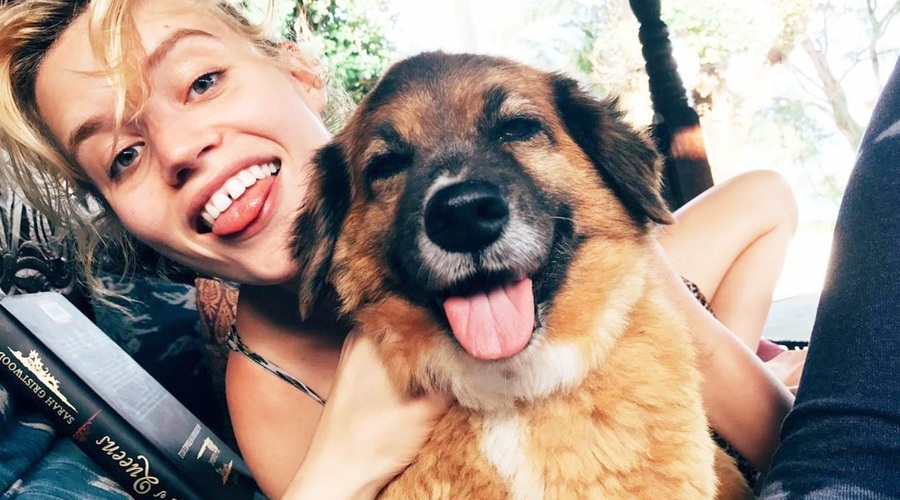 Tudi tebi kuža VEDNO sledi 🐾 v KOPALNICO? S tem ti v resnici sporoča ... (foto: Profimedia)